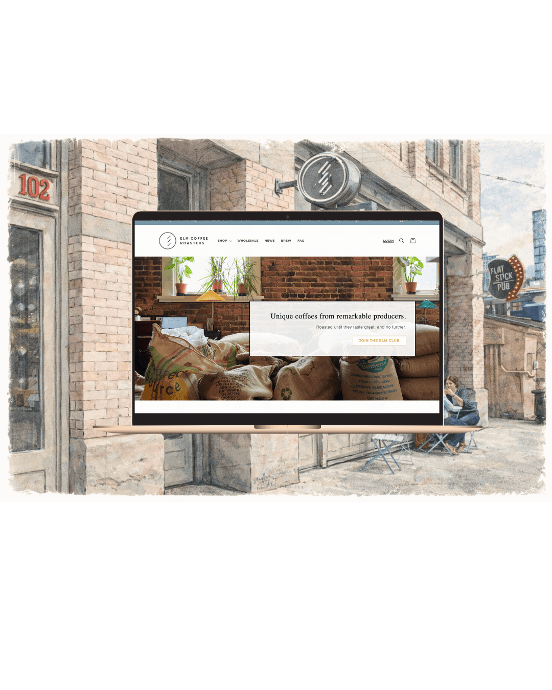 Elm's Coffee Roasters